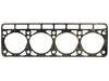 Cylinder Head Gasket:24-1003020